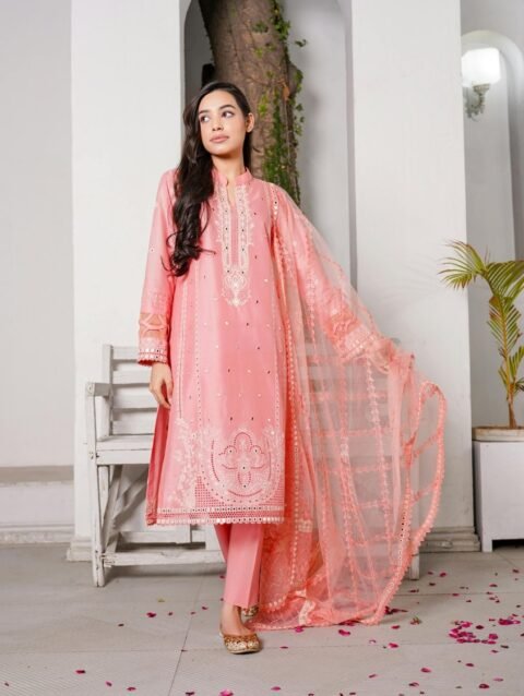 Rose Quartz Pink Kurti